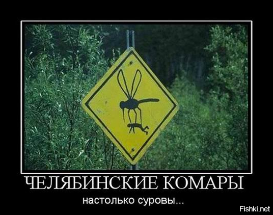 Комары в Челябинске.
