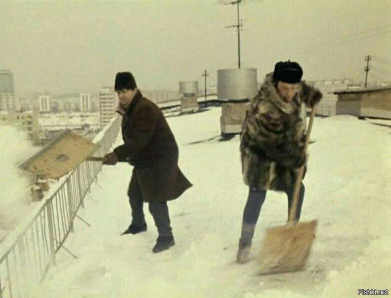 Надо было нанять специалистов