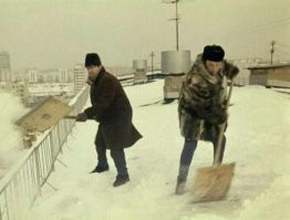 Надо было нанять специалистов