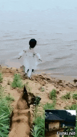 Собакен молодец, а мамаша даже съёмку не прекратила.