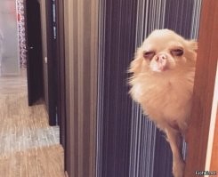 Чёт подозрительно