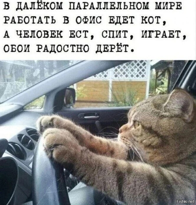 Весëлые картинки