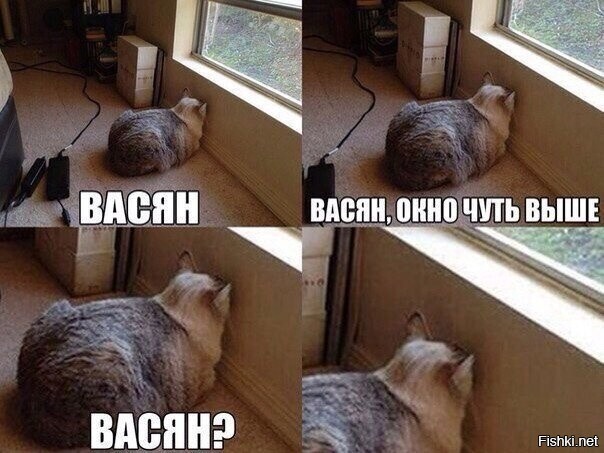 Весëлые картинки