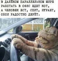 Весëлые картинки