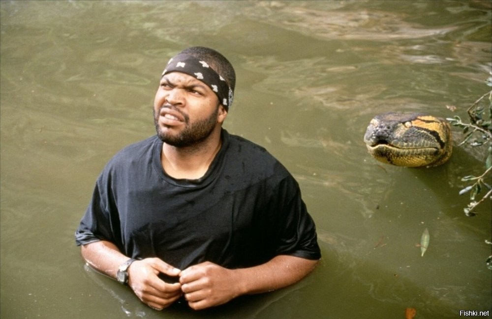 Анаконда:  5 фактов, которые ломают шаблоны об этой змее