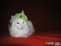 Солянка от 26.02.2026