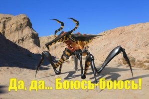 Совет арахнофобам