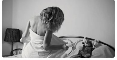 Весëлые картинки