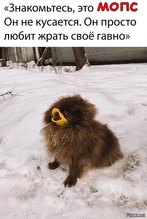 иксперт -неудачник !
сдрисни в туман , шпротный огрызок!
твое место возле параши!