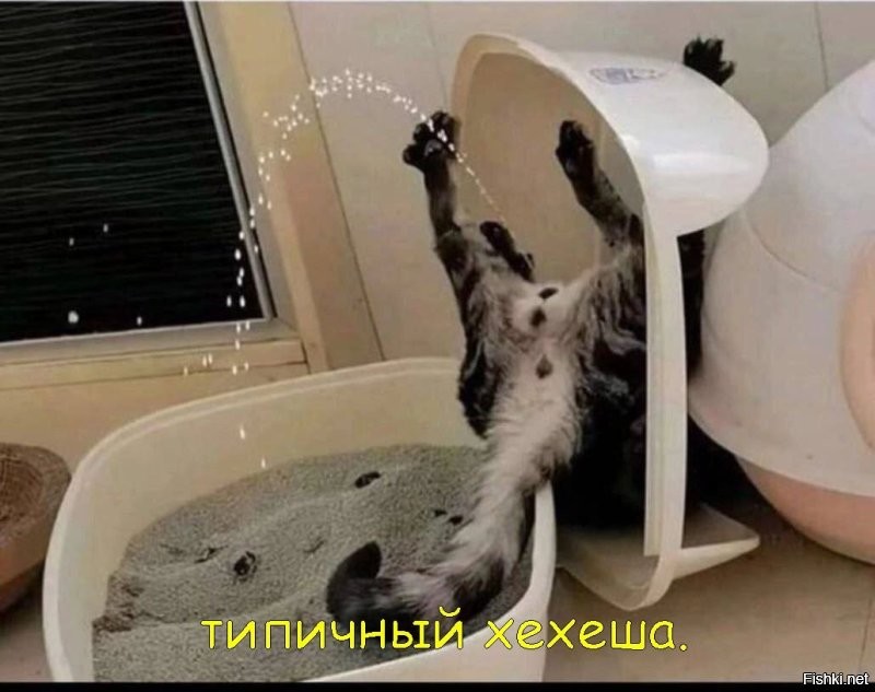 "хехещка" попытался остроумно ответить- но как обычно- жидко обосрался!