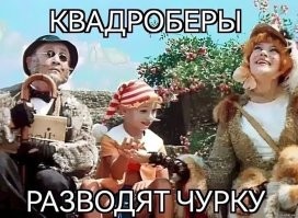 Мужчину в маске волка водили по аэропорту на поводке