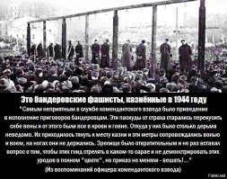 Вот этого почему не замочат наши ? Зеля ладно ,он нужен для Суда ...
А этот мотивирован и судя по глазам конченый ..! 
Может и вправду Россия готовится опять к этому ,как было в Киеве уже не раз ?