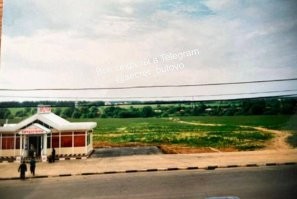 вид у меня из окна сейчас и в 1998 г