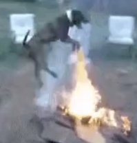 Мой хозяин идиот!