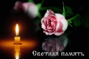 Громких слов говорить не умею...