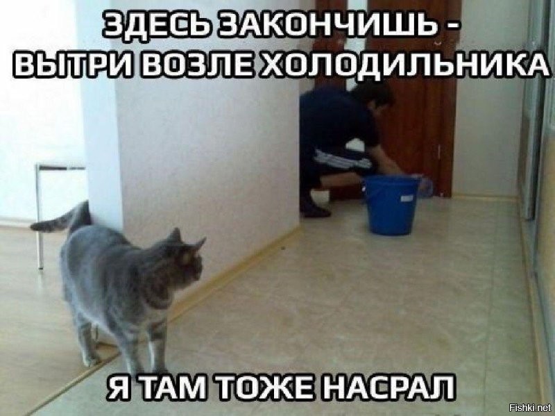 Весëлые картинки