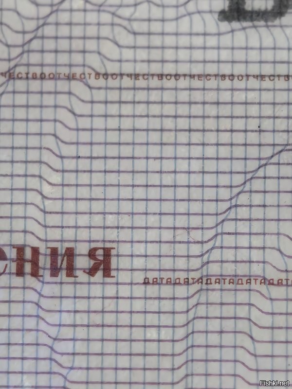 Действительно видно