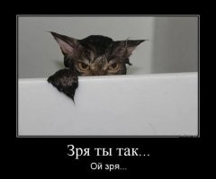 Весëлые картинки