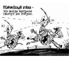Зебры: не бегут от льва, а дают бой!