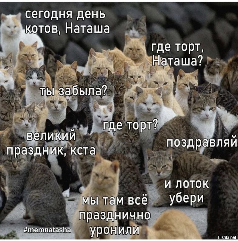 Доброе утро