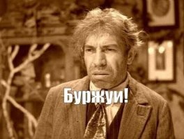 В Казани прошел рейд по выявлению нечипированных собак