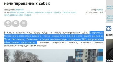 В Казани прошел рейд по выявлению нечипированных собак