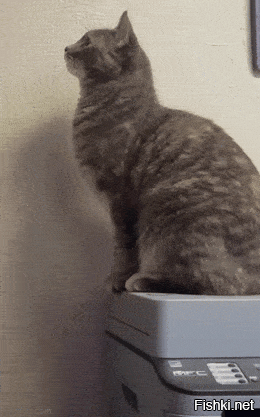 Слаботочку чинить пошёл? )))