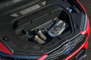 Ладно. Покажу через фотографии, если так не понятно. 1-я фотография - багажник сзади этого Форда (Trunk). 2-я фотография багажник спереди (Frunk).
Сравните их вместимости. Задний багажник в разы вместительней. Хотите ещё этот кармашек спереди - $500.