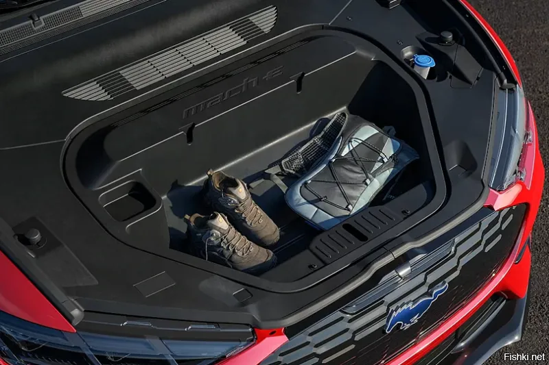 Ладно. Покажу через фотографии, если так не понятно. 1-я фотография - багажник сзади этого Форда (Trunk). 2-я фотография багажник спереди (Frunk).
Сравните их вместимости. Задний багажник в разы вместительней. Хотите ещё этот кармашек спереди - $500.