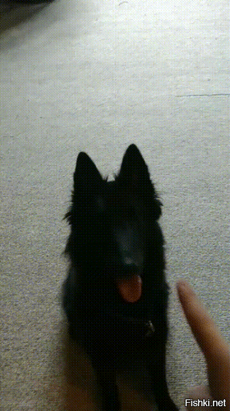 Если он и выключается той же кнопкой, то ловить его, чтобы выключить заипёшься.