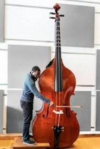 Октобас (англ. Octobass)   экспериментальный, самый крупный по размерам (около четырёх метров в высоту) и самый низкий по звучанию смычковый музыкальный инструмент, родственный контрабасу. Появился в середине XIX века.