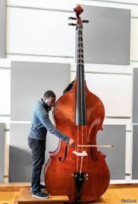 Октобас (англ. Octobass) экспериментальный, самый крупный по размерам (около четырёх метров в высоту) и самый низкий по звучанию смычковый музыкальный инструмент, родственный контрабасу. Появился в середине XIX века.