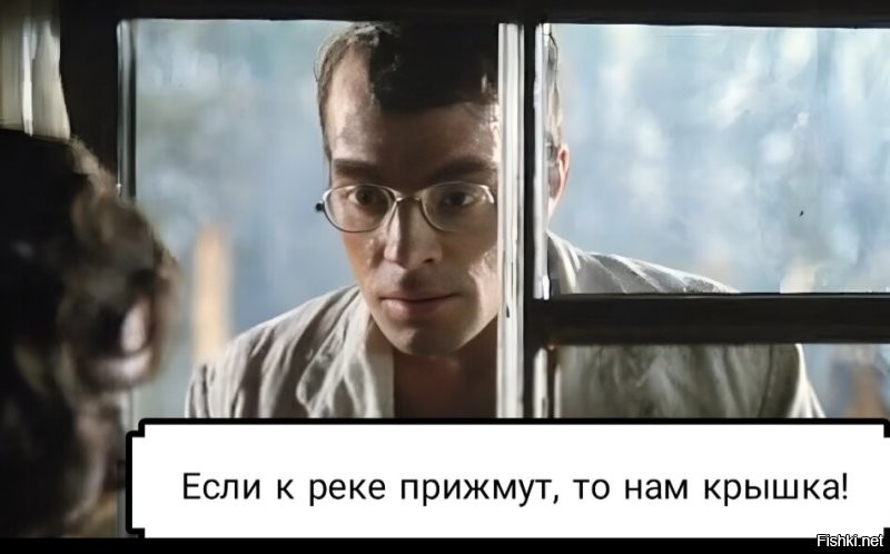 30 фото, доказывающих, что кошки участвуют в тайном заговоре и готовят переворот