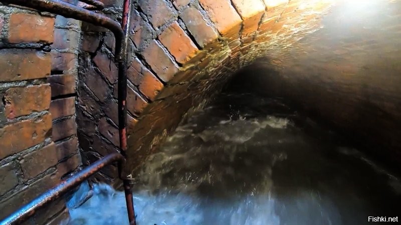 в это время внизу.