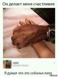 Смешные картинки