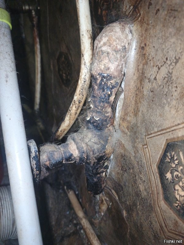 Весёлые картинки