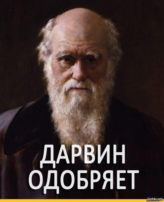 Последний акробатический трюк
