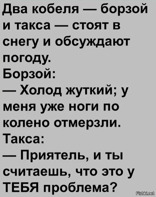 Солянка от 02.03.2026