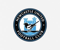 Мужчина проверил интеллект сороки