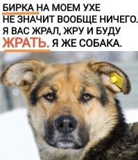 поймают повесят бирку и выпустят там же.
