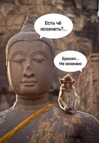 Склеить, разобрать или выбросить?: пользователи пытаются понять и решить проблему каждого собравшего огромный пазл