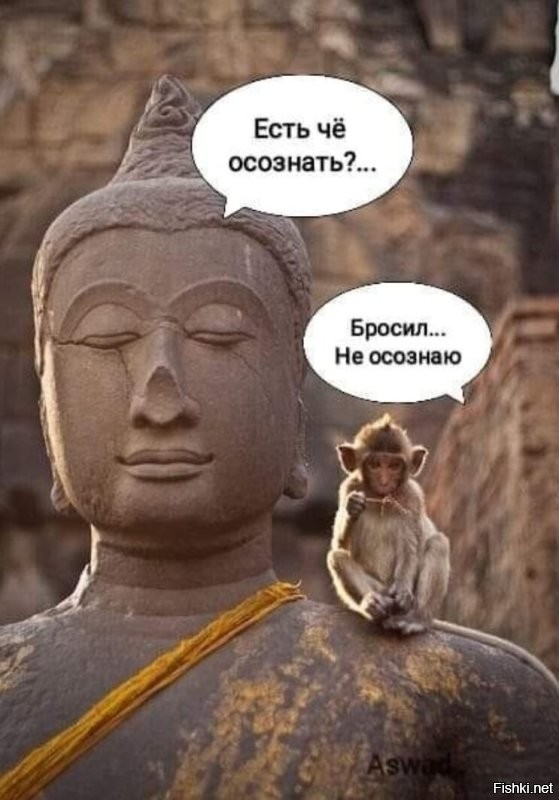 Склеить, разобрать или выбросить?: пользователи пытаются понять и решить проблему каждого собравшего огромный пазл