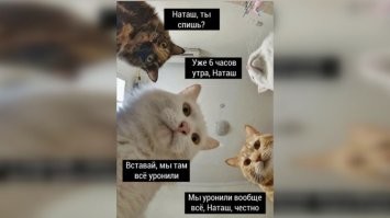 А где классика? -