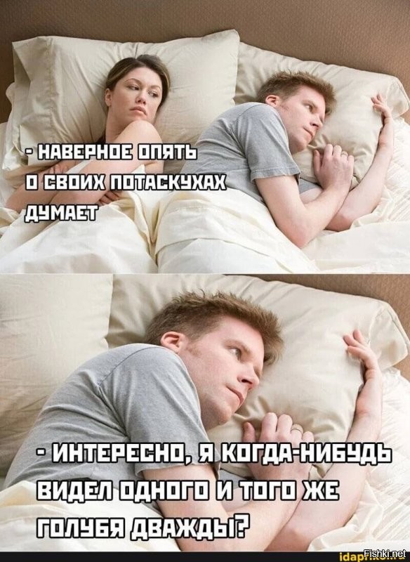 Житель Воркуты вернулся домой и обнаружил квартиру захваченной голубями