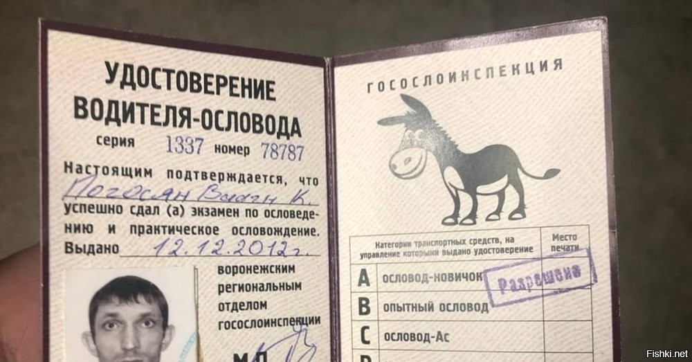Солянка от 03.03.2026
