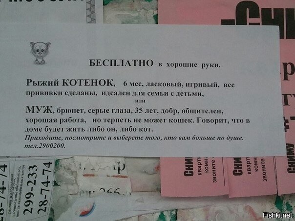 Скрины из соцсетей