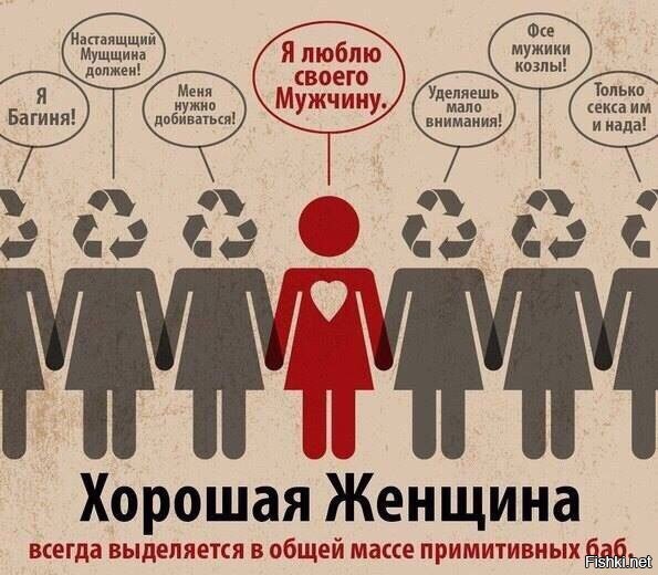 Солянка от 03.03.2026