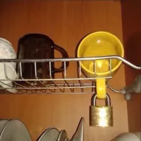 Клептомания   психическое расстройство, характеризующееся неконтролируемым, повторяющимся и независимым от материальной нужды влечением к воровству.