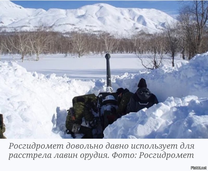 У нас уже десятки лет...