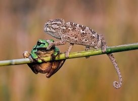 На общую тему&nbsp;